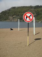 IMG 9118 wie war das mit den Hunden &ndash; &copy; Sylvia Sann (Eberhardt TRAVEL)