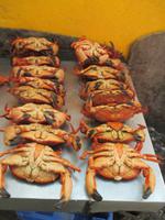 IMG 9243 Puerto Montt &ndash; &copy; Sylvia Sann (Eberhardt TRAVEL)