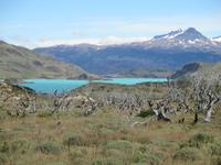 IMG 9326 Torres del Paine &ndash; &copy; Sylvia Sann (Eberhardt TRAVEL)