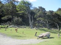 IMG 9397 Nationalpark Tierra del Fuego &ndash; &copy; Sylvia Sann (Eberhardt TRAVEL)
