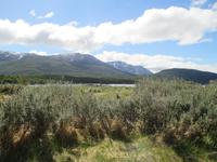 IMG 9407 Nationalpark Tierra del Fuego &ndash; &copy; Sylvia Sann (Eberhardt TRAVEL)