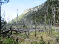 IMG 9412 Nationalpark Tierra del Fuego &ndash; &copy; Sylvia Sann (Eberhardt TRAVEL)