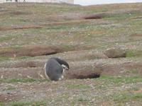 IMG 9618 &ndash; &copy; Sylvia Sann (Eberhardt TRAVEL)