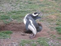 IMG 9627 &ndash; &copy; Sylvia Sann (Eberhardt TRAVEL)