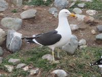 IMG 9631 &ndash; &copy; Sylvia Sann (Eberhardt TRAVEL)