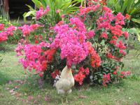 IMG 9748 &ndash; &copy; Sylvia Sann (Eberhardt TRAVEL)