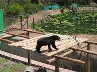 Santuario Animal de Ccochahuasi (1) &ndash; &copy; Francisco Javier Burgos Gutierrez (Eberhardt TRAVEL)