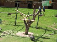 Santuario Animal de Ccochahuasi (13) &ndash; &copy; Francisco Javier Burgos Gutierrez (Eberhardt TRAVEL)