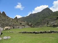 Machu Picchu (35) &ndash; &copy; Francisco Javier Burgos Gutierrez (Eberhardt TRAVEL)