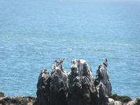 Viña del Mar (2) &ndash; &copy; Francisco Javier Burgos Gutierrez (Eberhardt TRAVEL)