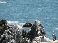 Viña del Mar (3) &ndash; &copy; Francisco Javier Burgos Gutierrez (Eberhardt TRAVEL)