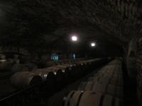 Bodega Concha y Toro (10) &ndash; &copy; Francisco Javier Burgos Gutierrez (Eberhardt TRAVEL)