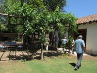 Restaurante Tesoros de Chile (3) &ndash; &copy; Francisco Javier Burgos Gutierrez (Eberhardt TRAVEL)