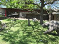 Colonia de Sacramento (28) &ndash; &copy; Francisco Javier Burgos Gutierrez (Eberhardt TRAVEL)