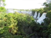 Iguazu (Argentinien) (32) &ndash; &copy; Francisco Javier Burgos Gutierrez (Eberhardt TRAVEL)
