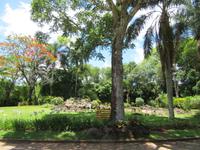 Iguazu (Brasil) (34) &ndash; &copy; Francisco Javier Burgos Gutierrez (Eberhardt TRAVEL)