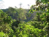 Iguazu (Brasil) (36) &ndash; &copy; Francisco Javier Burgos Gutierrez (Eberhardt TRAVEL)