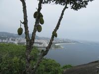 Rio de Janeiro (42) &ndash; &copy; Francisco Javier Burgos Gutierrez (Eberhardt TRAVEL)