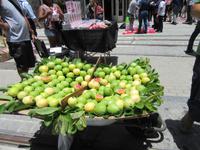Rio de Janeiro (62) &ndash; &copy; Francisco Javier Burgos Gutierrez (Eberhardt TRAVEL)
