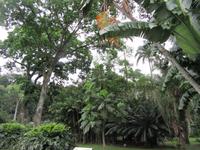 Rio de Janeiro (3) &ndash; &copy; Francisco Javier Burgos Gutierrez (Eberhardt TRAVEL)