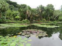 Rio de Janeiro (25) &ndash; &copy; Francisco Javier Burgos Gutierrez (Eberhardt TRAVEL)