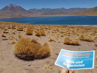 Rundreise Südamerika – Chile und Argentinien Santiago de Chile – Atacama-Wüste – Valparaiso – Punta Arenas – Torres del Paine – Perito Moreno-Gletscher – Buenos Aires (144) &ndash; &copy; Benjamin Rodriguez Manzanares (Eberhardt TRAVEL)