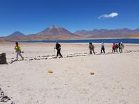Rundreise Südamerika – Chile und Argentinien Santiago de Chile – Atacama-Wüste – Valparaiso – Punta Arenas – Torres del Paine – Perito Moreno-Gletscher – Buenos Aires (177) &ndash; &copy; Benjamin Rodriguez Manzanares (Eberhardt TRAVEL)