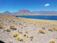 Rundreise Südamerika – Chile und Argentinien Santiago de Chile – Atacama-Wüste – Valparaiso – Punta Arenas – Torres del Paine – Perito Moreno-Gletscher – Buenos Aires (179) &ndash; &copy; Benjamin Rodriguez Manzanares (Eberhardt TRAVEL)