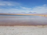 Rundreise Südamerika – Chile und Argentinien Santiago de Chile – Atacama-Wüste – Valparaiso – Punta Arenas – Torres del Paine – Perito Moreno-Gletscher – Buenos Aires (335) &ndash; &copy; Benjamin Rodriguez Manzanares (Eberhardt TRAVEL)