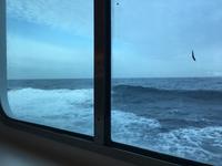 6 Meter Wellengang &ndash; &copy; Sabine Letzybyll (Eberhardt TRAVEL)