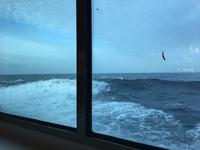 6 Meter Wellengang &ndash; &copy; Sabine Letzybyll (Eberhardt TRAVEL)