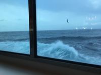6 Meter Wellengang &ndash; &copy; Sabine Letzybyll (Eberhardt TRAVEL)
