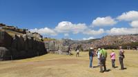Saqsaywaman (7) &ndash; &copy; Francisco Javier Burgos Gutierrez (Eberhardt TRAVEL)