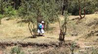 Q'Enqo (3) &ndash; &copy; Francisco Javier Burgos Gutierrez (Eberhardt TRAVEL)