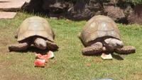 Ccochahuasu (5) &ndash; &copy; Francisco Javier Burgos Gutierrez (Eberhardt TRAVEL)