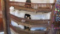 Pisaq (4) &ndash; &copy; Francisco Javier Burgos Gutierrez (Eberhardt TRAVEL)