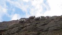Valle Sagrado (17) &ndash; &copy; Francisco Javier Burgos Gutierrez (Eberhardt TRAVEL)