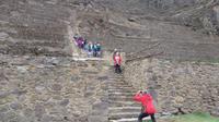 Ollantaytambo (29) &ndash; &copy; Francisco Javier Burgos Gutierrez (Eberhardt TRAVEL)