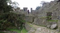 Machupicchu (119) &ndash; &copy; Francisco Javier Burgos Gutierrez (Eberhardt TRAVEL)