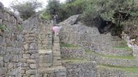 Machupicchu (124) &ndash; &copy; Francisco Javier Burgos Gutierrez (Eberhardt TRAVEL)