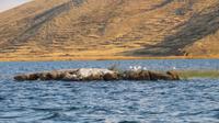 Titicaca-See Bolivien (44) &ndash; &copy; Francisco Javier Burgos Gutierrez (Eberhardt TRAVEL)