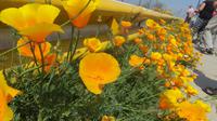 Santiago de Chile (57) &ndash; &copy; Francisco Javier Burgos Gutierrez (Eberhardt TRAVEL)