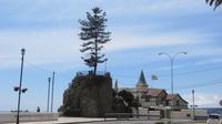 Viña del Mar (3) &ndash; &copy; Francisco Javier Burgos Gutierrez (Eberhardt TRAVEL)