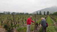Maipo-Tal (1) &ndash; &copy; Francisco Javier Burgos Gutierrez (Eberhardt TRAVEL)
