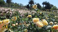 Buenos Aires (33) &ndash; &copy; Francisco Javier Burgos Gutierrez (Eberhardt TRAVEL)