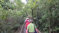 Iguazu Argentinien (39) &ndash; &copy; Francisco Javier Burgos Gutierrez (Eberhardt TRAVEL)