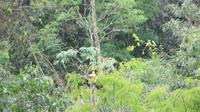 Iguazu Argentinien (47) &ndash; &copy; Francisco Javier Burgos Gutierrez (Eberhardt TRAVEL)