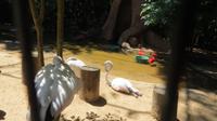 Iguazu Brasilien (37) &ndash; &copy; Francisco Javier Burgos Gutierrez (Eberhardt TRAVEL)