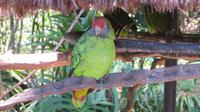 Iguazu Brasilien (42) &ndash; &copy; Francisco Javier Burgos Gutierrez (Eberhardt TRAVEL)