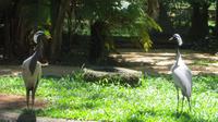 Iguazu Brasilien (51) &ndash; &copy; Francisco Javier Burgos Gutierrez (Eberhardt TRAVEL)
